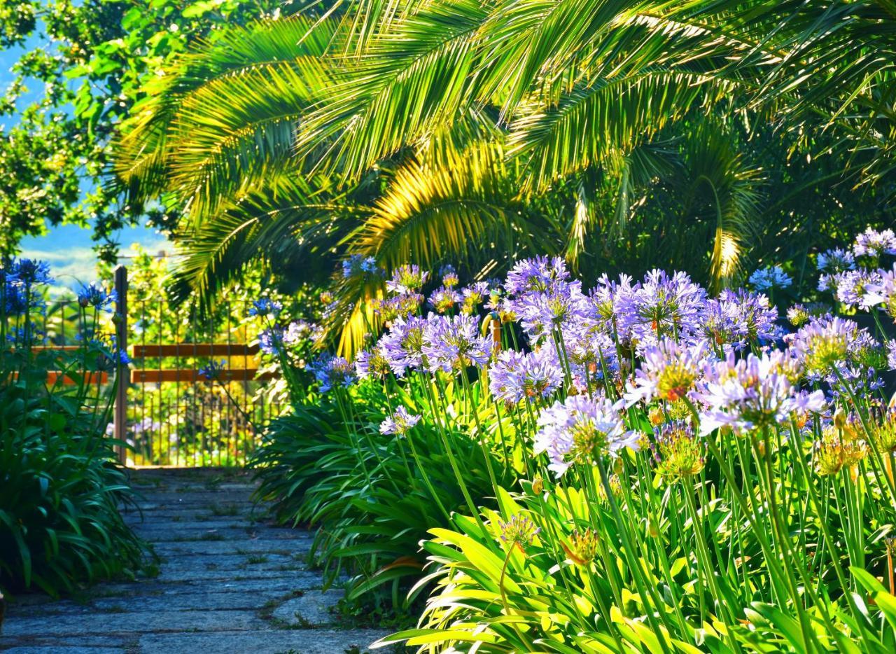 Quinta De San Amaro Rias Baixas Hotel Meano Bagian luar foto